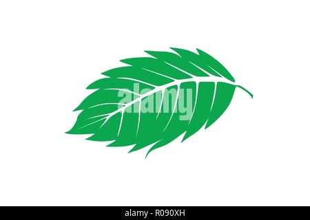 Mint leaf logo Designs Inspiration Isolated on White Background Stock Vector