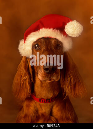 irish santa hat