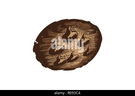 hand drawn cookies logo Designs Inspiration Isolated on White Background Stock Vector