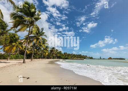 Le Gosier, Guadeloupe - December 20, 2016: Paradise beach and palm trees near Le Gosier in Guadeloupe, an overseas region of France, Lesser Antilles,  Stock Photo