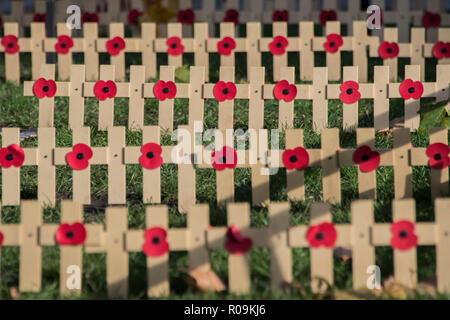 London, UK. 3rd Nov, 2018. The Field of Remembrance at Westminster Abbey is marked out and ready to be populated by Individual crosses over the next week. Credit: Guy Bell/Alamy Live News Stock Photo