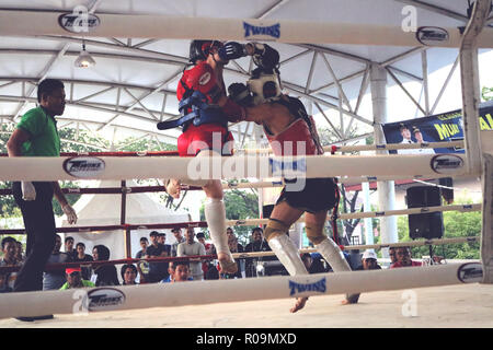 Makassar, Indonesia. 3rd Nov, 2018. The Muay Thai Championship held in Makassar City competed for the trophy of the Mayor of Makassar, Saturday, November 3, 2018. The championship was attended by professional Muay Thai athletes from the city of Makassar, South Sulawesi Credit: Herwin Bahar/Alamy Live News Stock Photo
