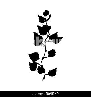 Birch tree illustration. Black Silhouette of Tree twig with leaves and seeds isolated on white background. Birch branch hand drawn autumn theme. Isolated vector Stock Vector