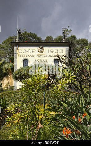 Plant nursery at Funchal. Madeira island. Portugal Stock Photo