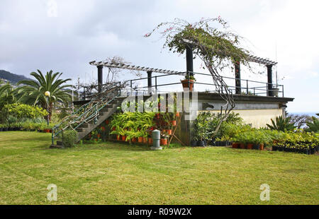 Plant nursery at Funchal. Madeira island. Portugal Stock Photo