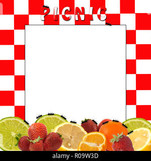 Assortment of Italian red and white checked background ideal for menus and signs.   Text on some, Pizza, Pasta Night, Menu, Italian Menu.  Graphic Stock Photo