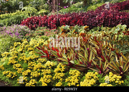 Plant nursery at Funchal. Madeira island. Portugal Stock Photo