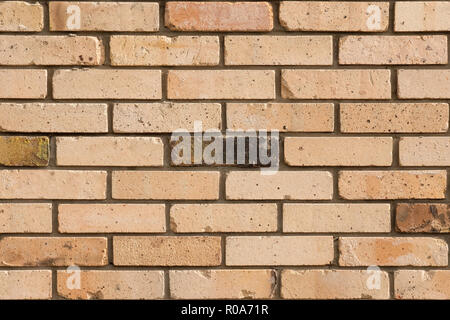 Faded brick wall background. Colored bricks facade. Stock Photo