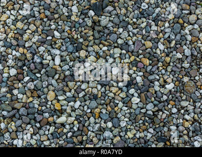 very small and tiny pebble stone rocks in macro close up in diverse colors garden ground decoration background Stock Photo