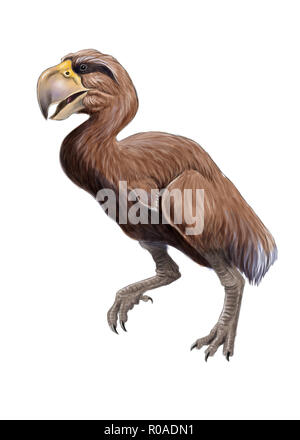 Gastornis illustration, ancient giant bird Stock Photo - Alamy