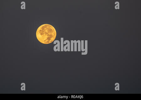 Orange full moon against dark sky, background Stock Photo