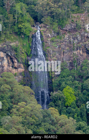 On the Python Rock walk - At O'Reilly's Rainforest Retreat, Lamington ...