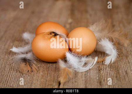 three eggs and feathers on rustic wooden table Stock Photo