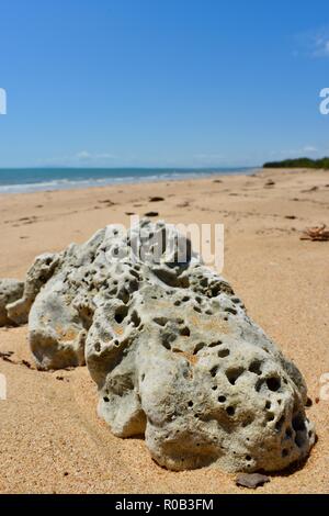 Dead coral on a beach, Balgal beach, QLD, Australia Stock Photo