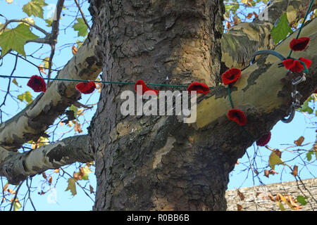 Many people knitted poppies for the display around the Corn Exchange, Witney, Oxfordshire, England Stock Photo