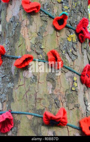 Many people knitted poppies for the display around the Corn Exchange, Witney, Oxfordshire, England Stock Photo