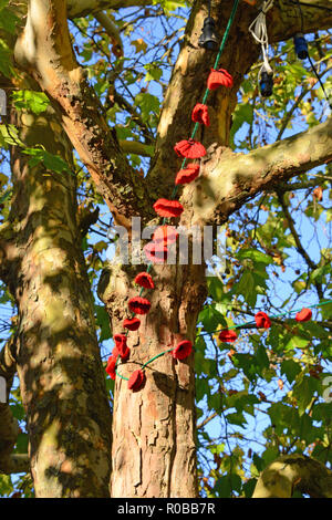 Many people knitted poppies for the display around the Corn Exchange, Witney, Oxfordshire, England Stock Photo