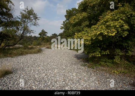 A thick layer of flintstones was deposited some thousand years ago near Neu-Mukran on Rügen Island. Stock Photo