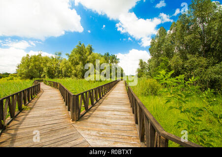 Croatia, Baranja, Kopacki Rit nature park wooden boardwalk view Stock Photo