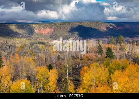 Changing Aspen - Southern Utah Mountains Stock Photo