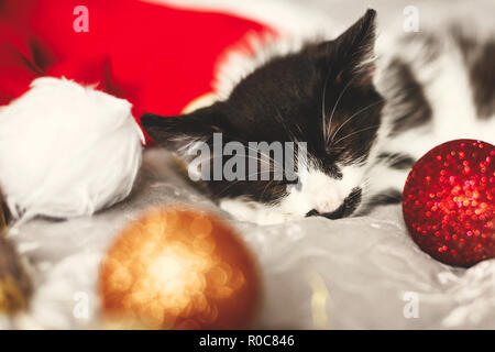 Cute kitty sleeping in santa hat on bed with gold and red christmas baubles in festive room. Merry Christmas concept. Adorable kitten napping. Atmosph Stock Photo
