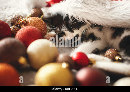 Cute kitty sleeping in santa hat on bed with gold and red christmas baubles in festive room. Merry Christmas concept. Adorable kitten napping. Atmosph Stock Photo