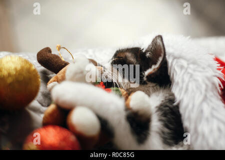 Cute kitty sleeping in santa hat on bed with gold and red christmas baubles in festive room. Merry Christmas concept. Adorable kitten napping with rei Stock Photo