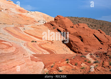 NV00094-00...NEVADA - Multi-colored sandstone layers at Valley of Fire State Park. Stock Photo