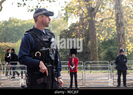 Heavily armed British police