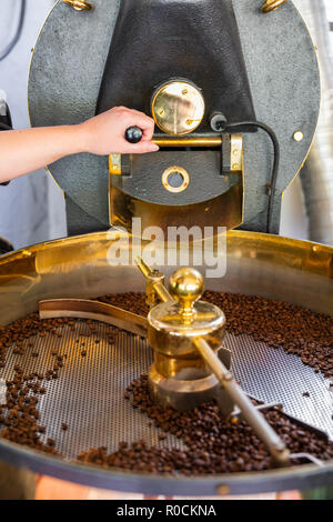 Female Handles Roaster in Organic Coffee production Stock Photo