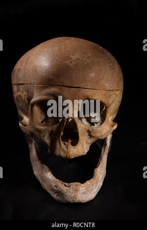 Skull on black background Stock Photo