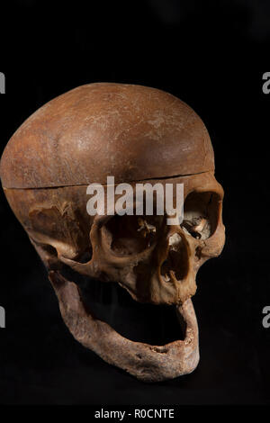 Skull on black background Stock Photo