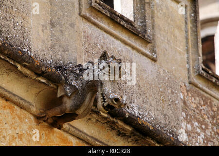 Animal sculpture or carving on the embattled parapet at Fairford St Marys church exterior stonemasons work.