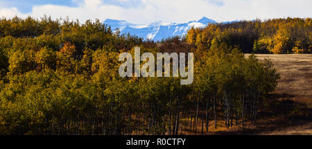 breath taking scenes in the Alberta wild Stock Photo