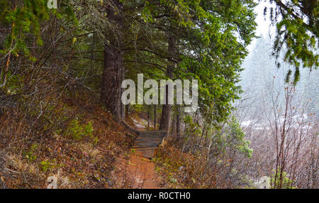 breath taking scenes in the Alberta wild Stock Photo