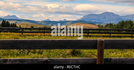 breath taking scenes in the Alberta wild Stock Photo