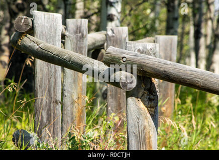 breath taking scenes in the Alberta wild Stock Photo