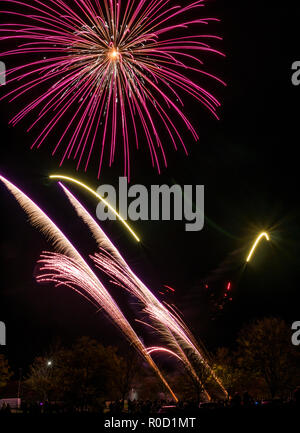 Bonfire night with a crowd of people watching the ...