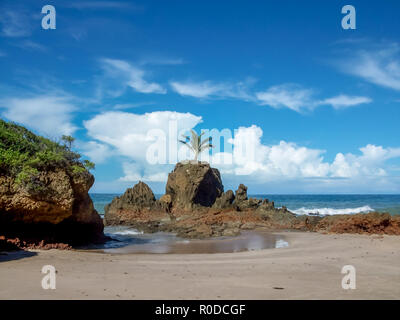 A beautiful view of a isolated palm tree over a rock in a beach with others rocks in the base, with a background showing the sea and a blue sky Stock Photo