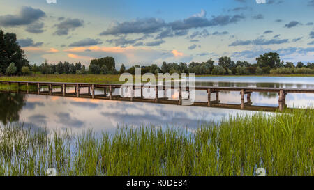 Long wooden footbridge in nature reserve de Blauwe Kamer near Wageningen, Betuwe, Netherlands Stock Photo