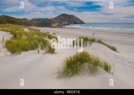 Sand Dunes and Grass Vegetation at Beautiful Wharariki Beach, North Island, New Zealand Stock Photo