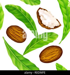 Shea nuts with leaves in vector pattern. Stock Vector