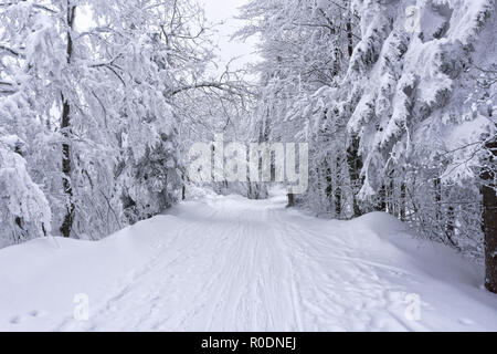 Winter mountain landscape. Trees in forest or park covered with hoarfrost and snow. Kremnica Mountains, Slovakia. Stock Photo