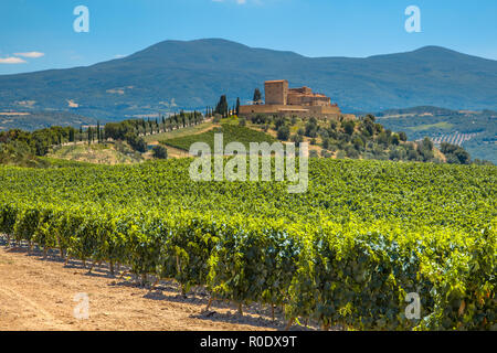 Castle Overseeing Vineyards from a Hill on a Clear Summer Day Stock Photo
