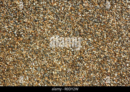 Fragment of beach pebble with small colored pebbles, stones and shells detail close-up in bright sunlight Stock Photo