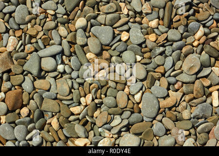 Fragment of pebble beach with flat colored pebbles close-up in bright sunlight Stock Photo