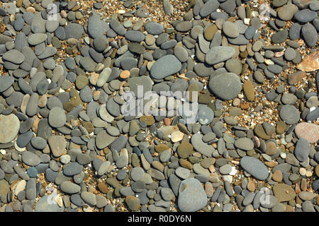 Fragment of pebble beach with flat colored pebbles, small stones and shells detail close-up in bright sunlight Stock Photo