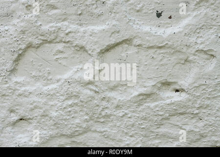 Fragment of old concrete wall whitewashed with lime Stock Photo