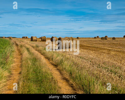 Panoramic view of hay bales in french countryside along a track Stock Photo