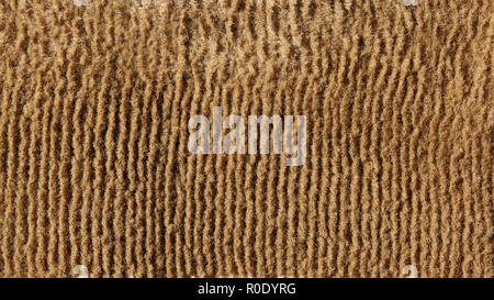 Fragment the surface of old beige fluffy floor carpet Stock Photo
